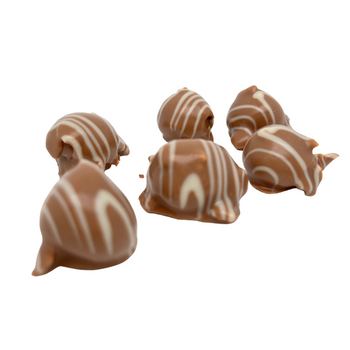 Produktbild Macadamia Nuss in Vollmilch-Schokolade und weißer SchokoladeEH Chocoladen